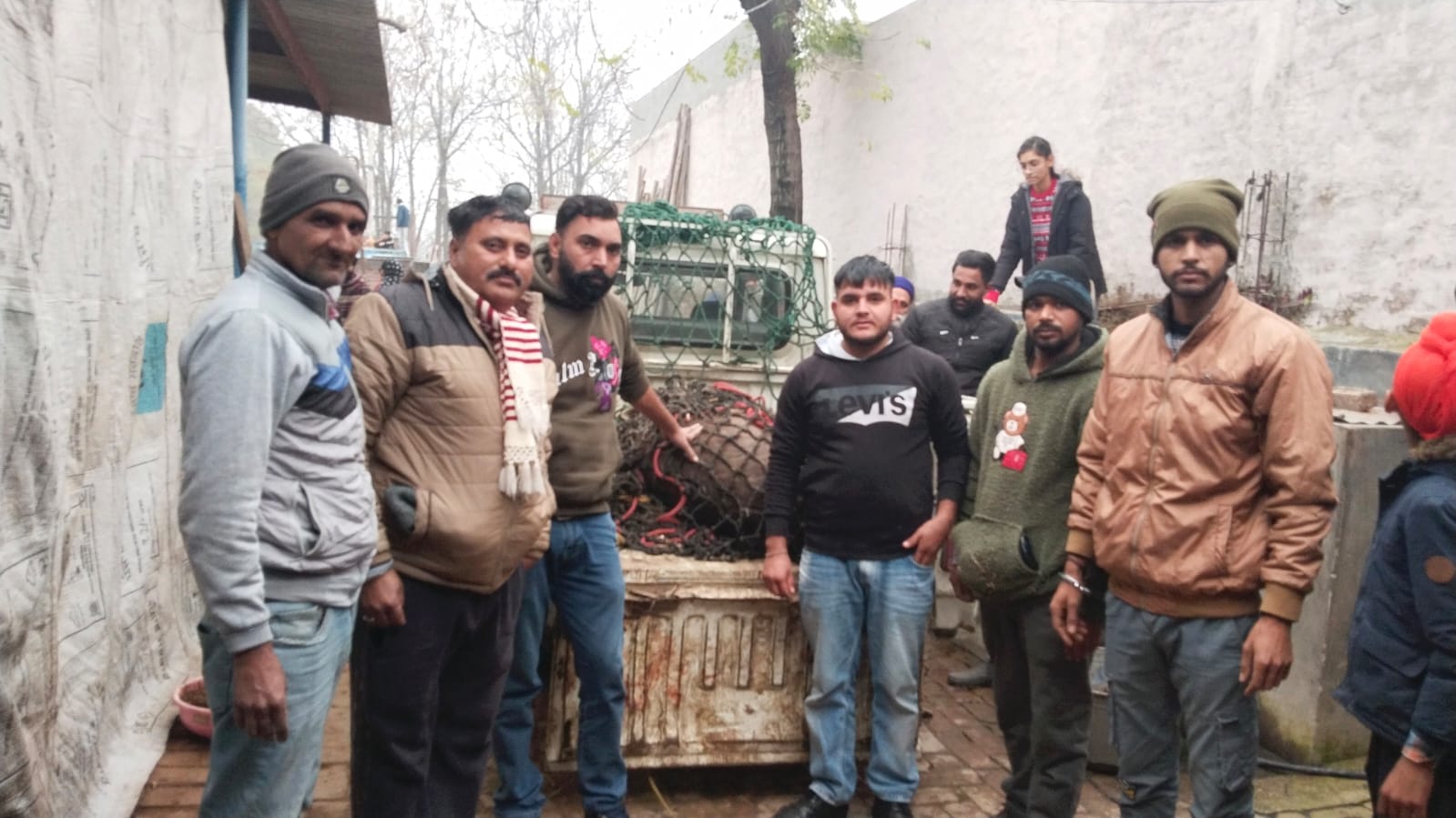 ਜੰਗਲੀ ਸਾਂਬਰ ਦੇ ਭਟਕੇ ਹੋਏ ਬੱਚੇ ਨੂੰ ਕੀਤਾ ਜੰਗਲੀ ਜੀਵ ਸੁਰੱਖਿਆ ਵਿਭਾਗ ਦੇ ਹਵਾਲੇ