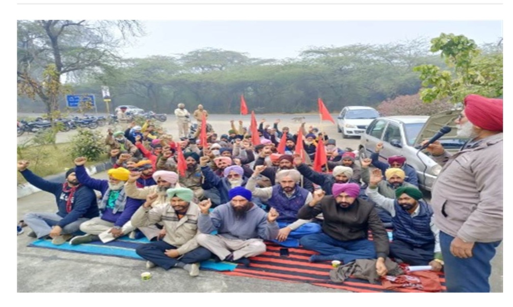 ਸੇਵਾਵਾਂ ਪੱਕੀਆਂ ਕਰਵਾਉਣ ਲਈ ਰੌਣੀ ਫਾਰਮ ਵਿਖੇ ਲਾਇਆ ਧਰਨਾ  